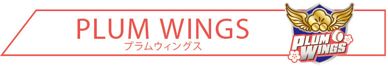 プラムウィングス
